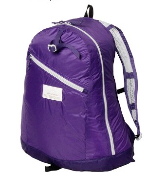 Gregory Day Pack LT-Purple