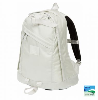 Gregory Daypack – ALL WHITE