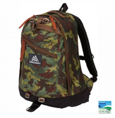 Gregory Daypack – DEEP FOREST CAMO