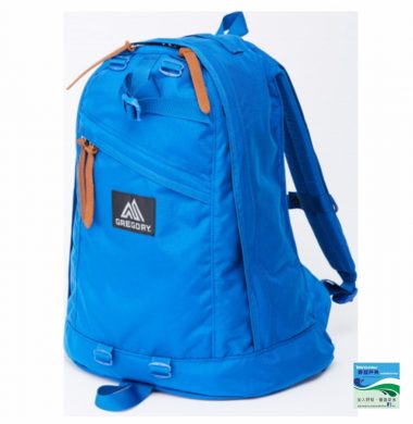 Gregory Daypack – MIGHTY BLUE